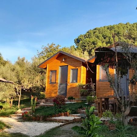 Bujtina Musta Guest House Berat Ngoại thất bức ảnh