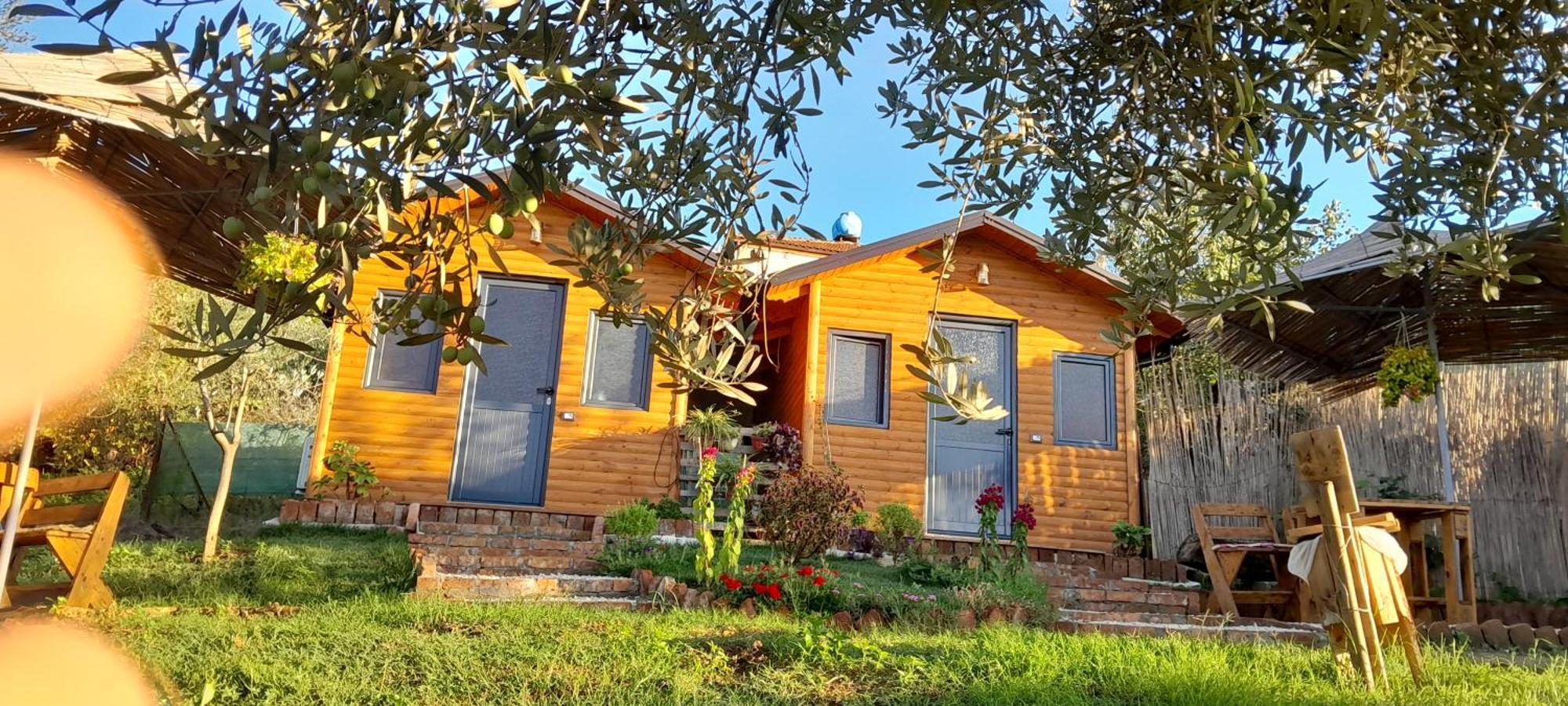 Bujtina Musta Guest House Berat Ngoại thất bức ảnh